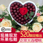 树上现货国产大连大樱桃美早车厘子爱心礼盒新鲜孕妇脆甜水果520