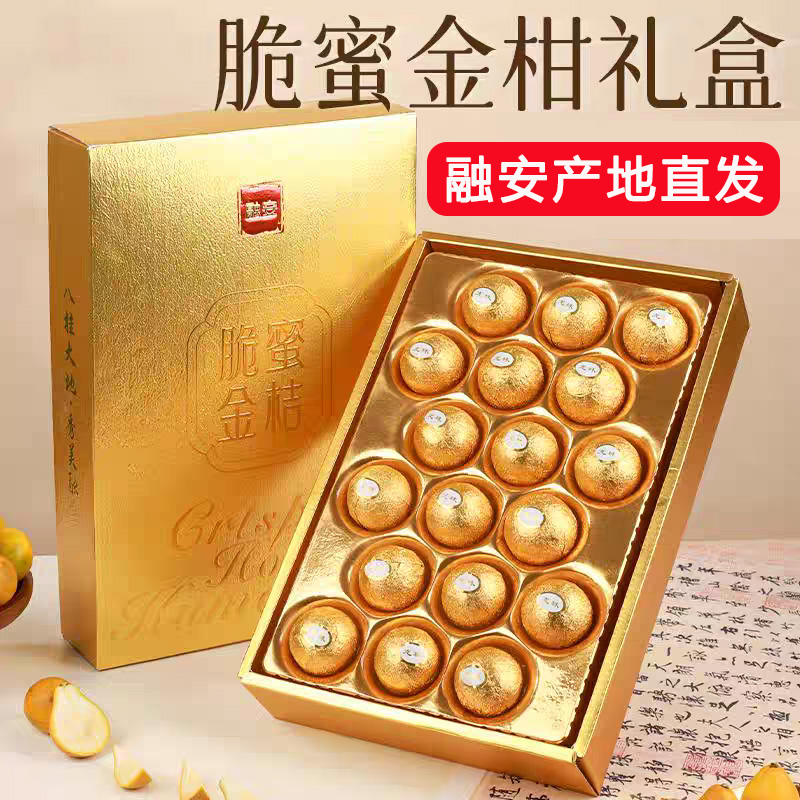 【费列罗锡纸礼盒】广西融安脆蜜金桔鲜果金柑新鲜应季水果第三代