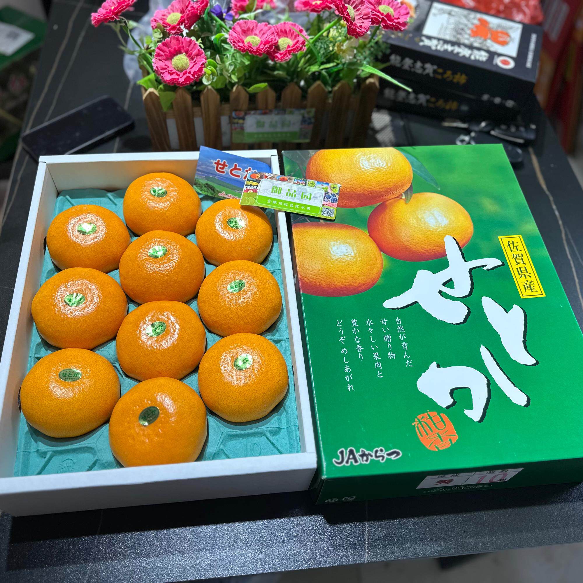 佐賀濑户香柑自然が育んだ蜜柑蜜橘蜜桔无核香爆汁送礼日本品种