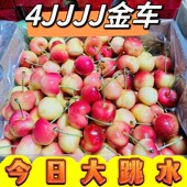智利4JJJJ雷尼尔黄金车厘子礼盒装 黄樱桃4斤新鲜同城水果顺丰脆甜