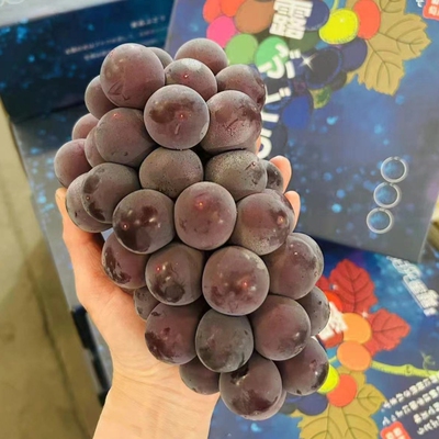 当季水果孕妇应季顺丰