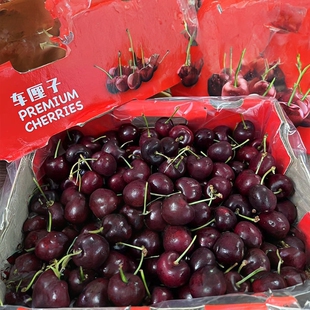 智利车厘子JJ瑞吉娜5斤原箱进口大樱桃孕妇水果送礼春节顺丰