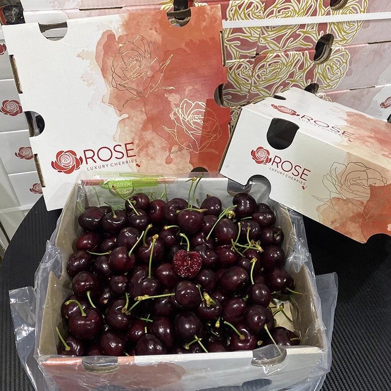 智利ROSE/白玫瑰桑缇娜车厘子大果新鲜樱桃孕妇水果