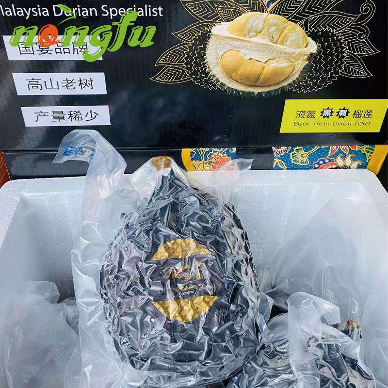 黑刺榴莲新鲜D200马来西亚进口冷冻液氮带壳水果顺丰