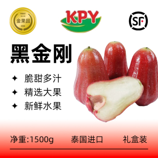黑金刚莲雾特大果正宗泰国进口新鲜水果脆甜多汁一级礼盒装顺丰