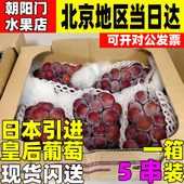 日本引进水果皇后葡萄冈山现货非进口阳光玫瑰无籽青提孕妇应季