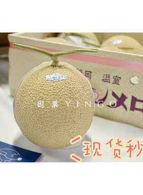 静冈网纹蜜瓜梅陇品种皇冠山印啫喱哈密蜜T字瓜超甜多汁1枚