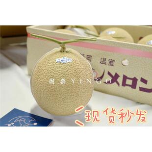 静冈网纹蜜瓜梅陇品种皇冠山印啫喱哈密蜜T字瓜超甜多汁1枚