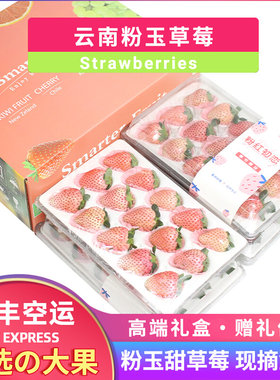 顺丰空运2/4盒礼盒云南粉玉草莓现摘新鲜水果淡雪白高端送礼