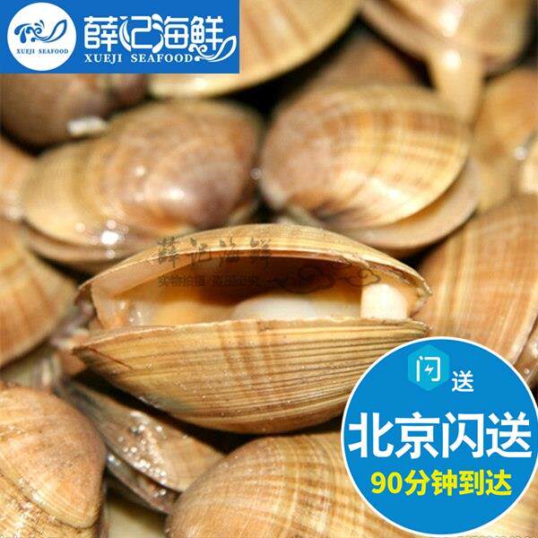 500g 北京闪送 鲜活 黄蚬子 大黄蚬子 海鲜花甲蛤蜊 海捕水产