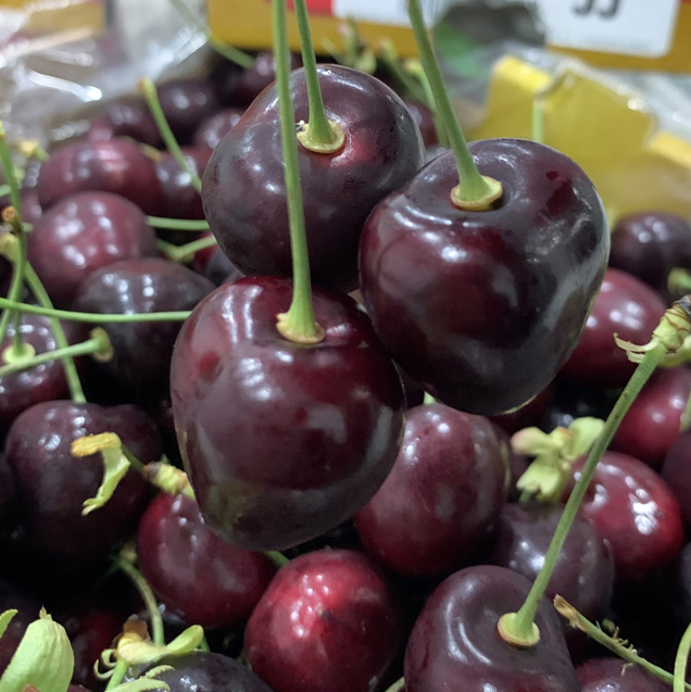 智利科迪亚车厘子当季进口大樱桃新鲜进口车厘子孕妇水果