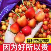 京津冀又甜水果大级金又发货4J北京新原箱厘子发地车车