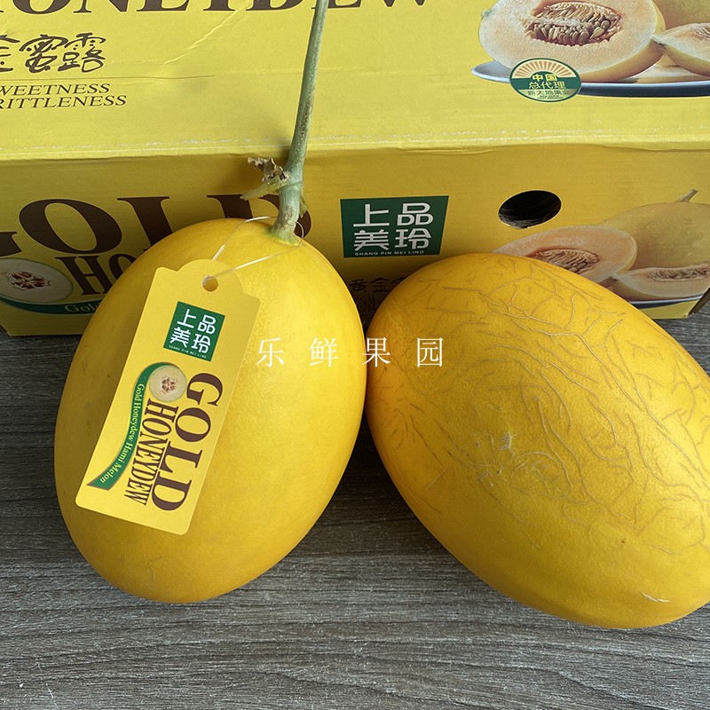 黄金蜜露瓜1个甜脆多汁哈密瓜精选新鲜蜜瓜甜瓜时令水果发顺丰