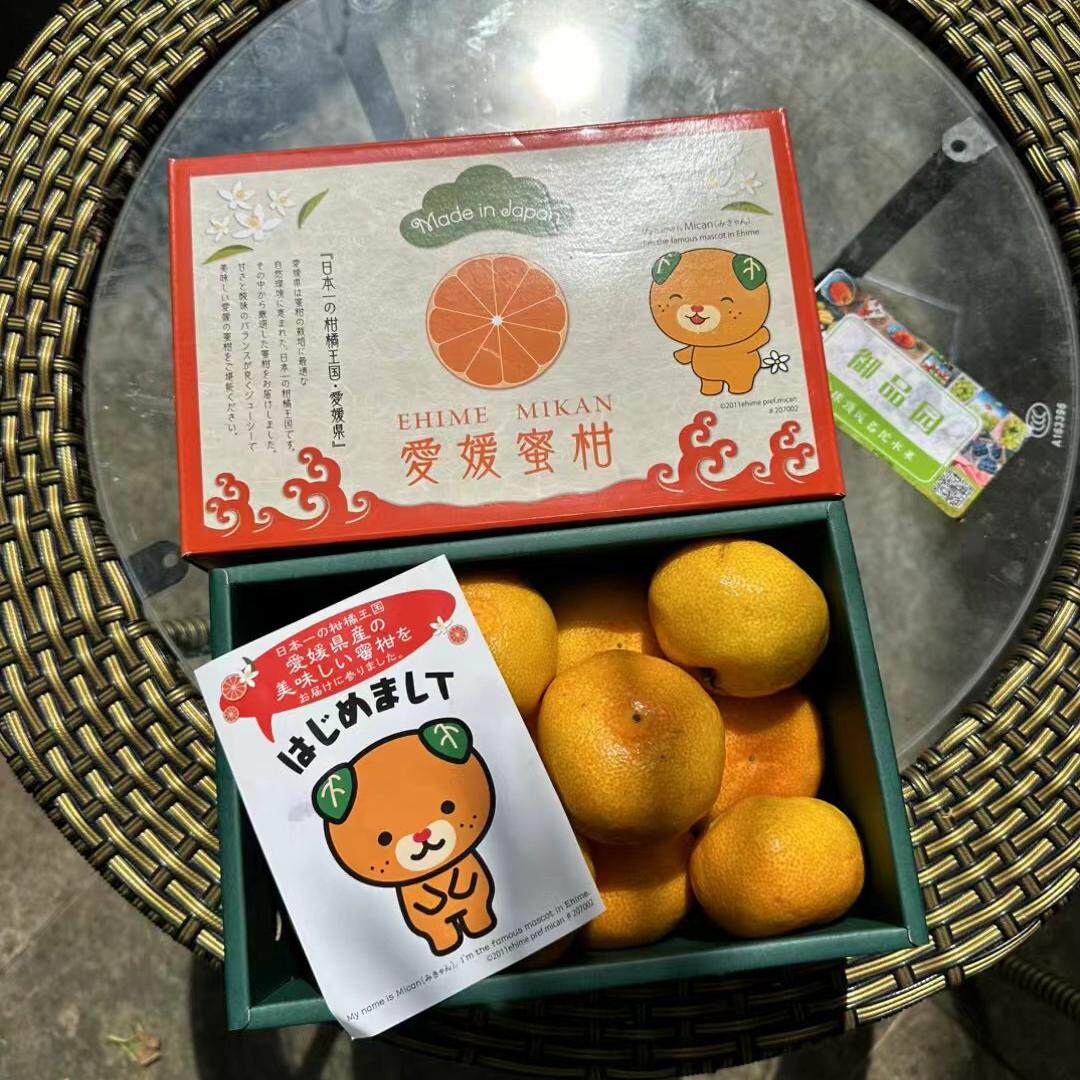 柑橘王国爱媛熊崽蜜柑皮薄果肉饱满细腻无渣无核爱媛蜜桔深圳顺丰