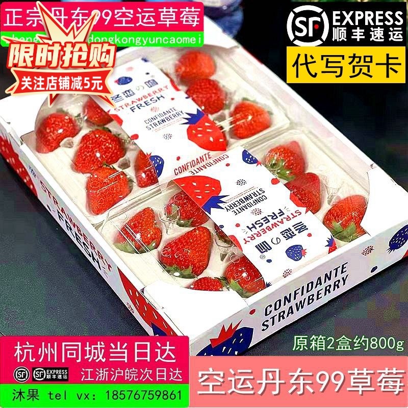 正宗丹东99牛奶草莓红颜草莓新鲜孕妇儿童水果冬恋甜草莓礼盒顺丰