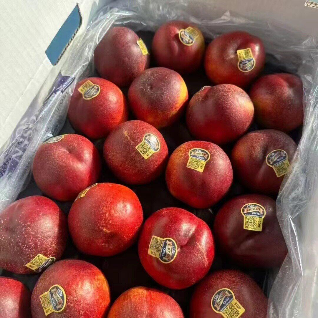 进口澳大利亚 澳洲黄肉油桃 18-24头精品大果整箱礼盒 上海闪送