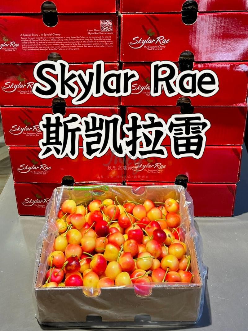 智利进口斯凯拉雷黄樱桃金车厘子水果skylar rae雷尼尔高端礼盒