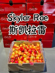 智利进口斯凯拉雷黄樱桃金车厘子水果skylar rae雷尼尔高端礼盒