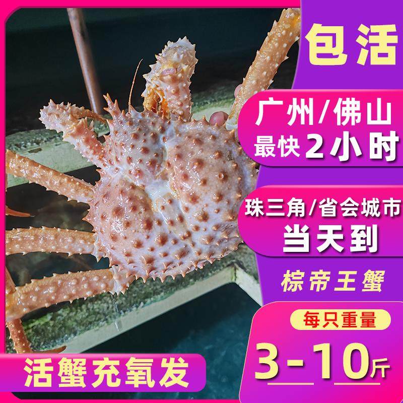高速轴承童装画册肝酱风鲜活水产海鲜棕蟹大螃蟹皇帝蟹10斤