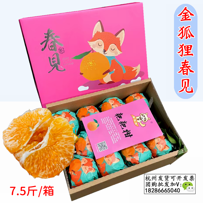 金狐狸耙耙柑春见特级整箱礼盒装甜嫩节日水果四川眉山柑橘子