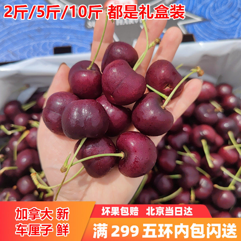 好吃果当季优选车厘子达家当日拿到北京大樱桃嘎嘣脆水果孕妇JJJ