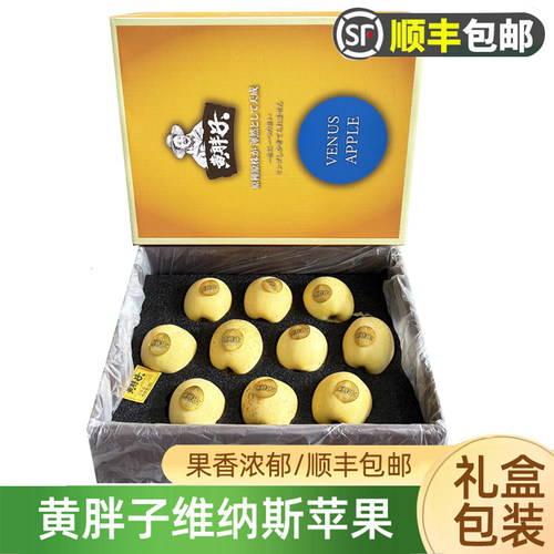 黄金维纳斯黄苹果当季新鲜时令苹果孕妇苹果水果礼盒装顺丰