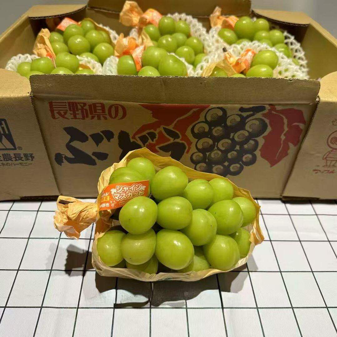 长野香印日本信州长野香印日本品种国产阳光玫瑰花香味浓郁
