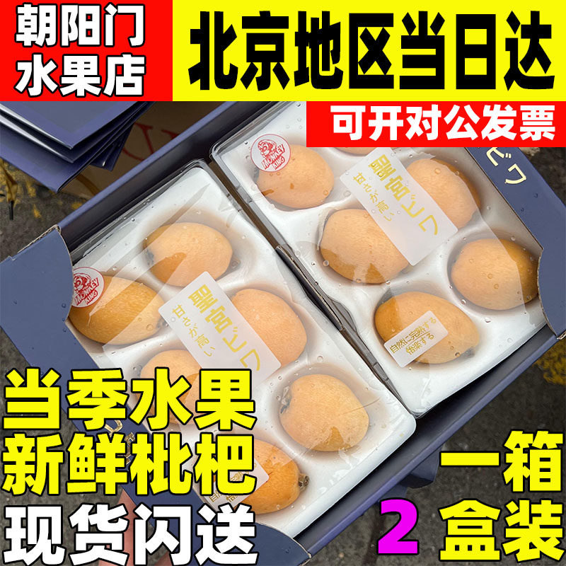 正宗四川米易新鲜枇杷精品特大果甜琵琶当季水果长虹枇杷2盒整箱