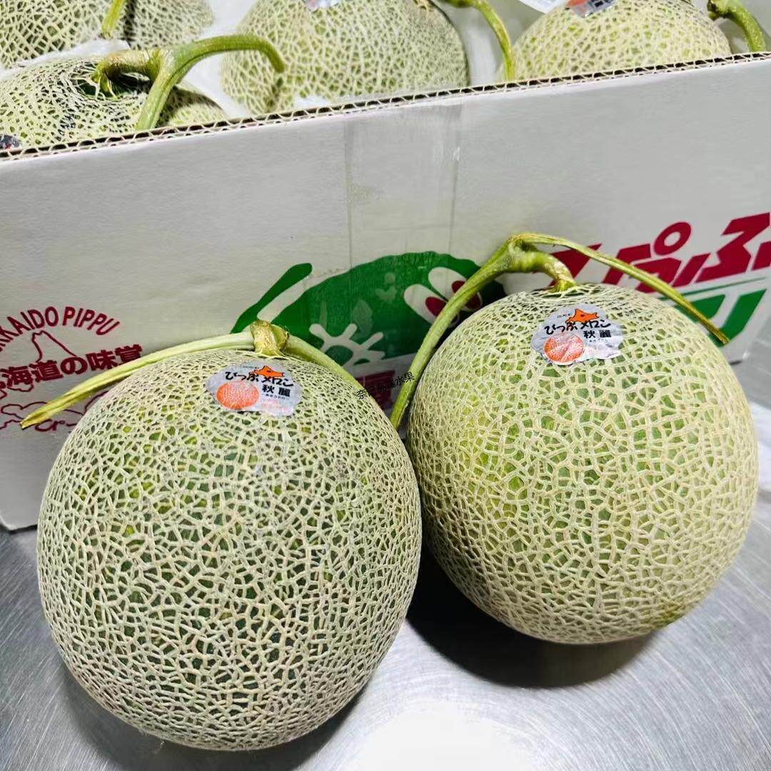 北海道·比布町 秋麗赤肉蜜瓜 网纹瓜蜜瓜哈密瓜新鲜水果香瓜甜瓜