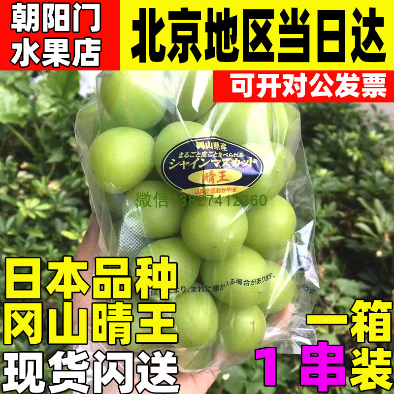 日本品种冈山翠玉晴王青提葡萄1串新鲜玫瑰香葡萄水果麝香味青提
