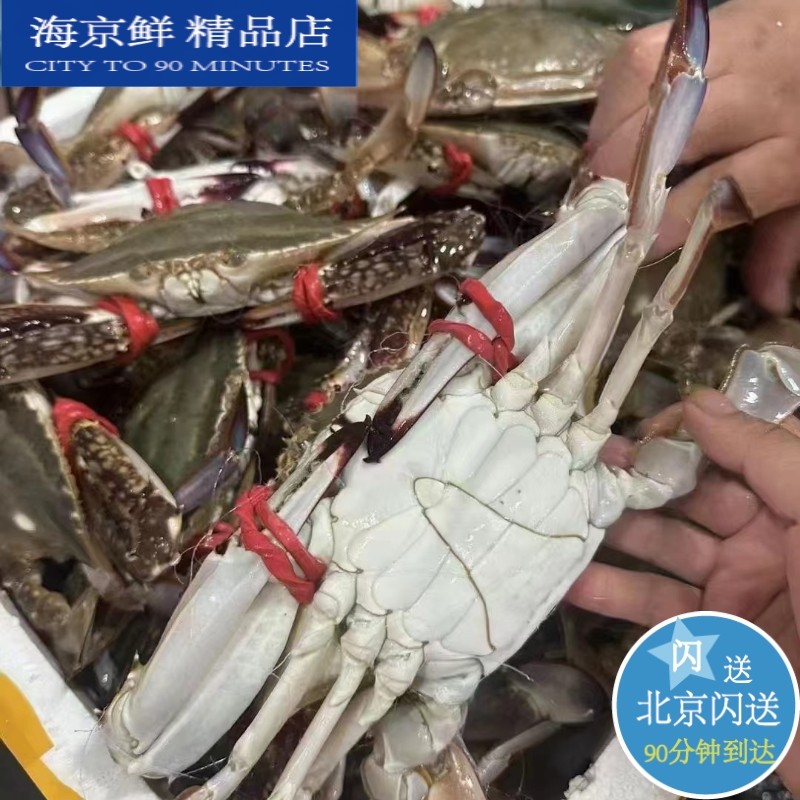 鲜活 满肉 公梭子蟹 海蟹 螃蟹 5-9两1只 海鲜水产 北京闪送