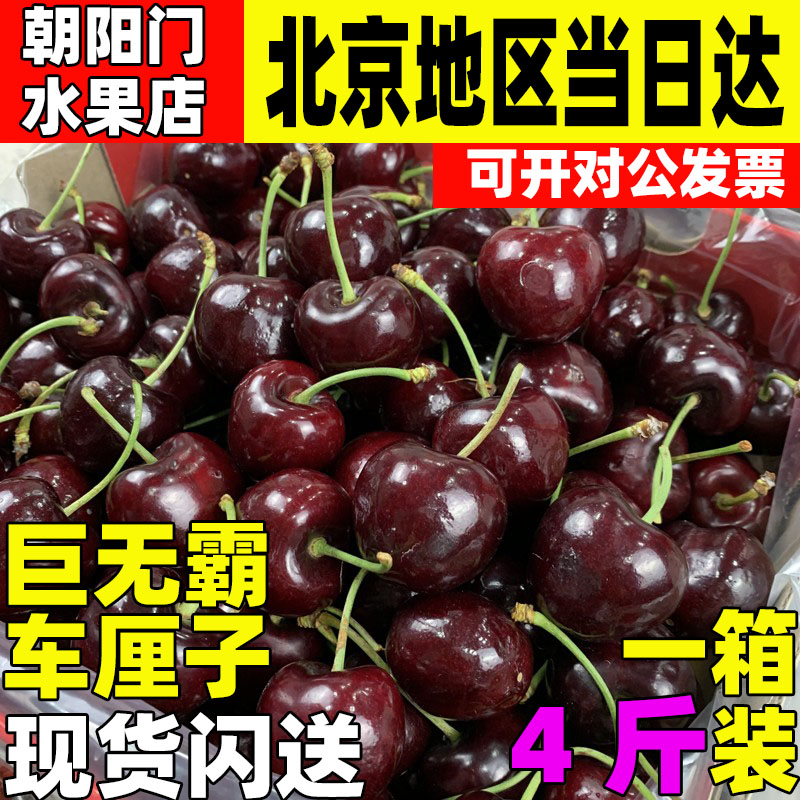 现货智利车厘子4J巨无霸桑提娜黑珍珠5斤进口原箱特大果樱桃水果