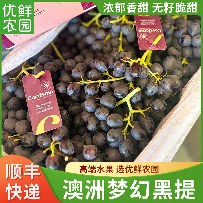 当季空运进口澳洲糖果梦幻黑提无籽葡萄新鲜当季水果顺丰无籽黑提