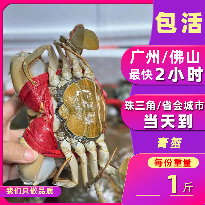 鲜活广东青蟹红膏蟹称重计价【2斤起拍】 螃蟹超大野生肉蟹