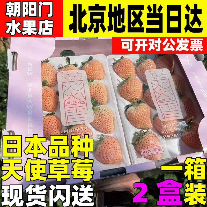 日本引进天使淡雪白色草莓水果礼盒节日情人节送女朋友客户礼物