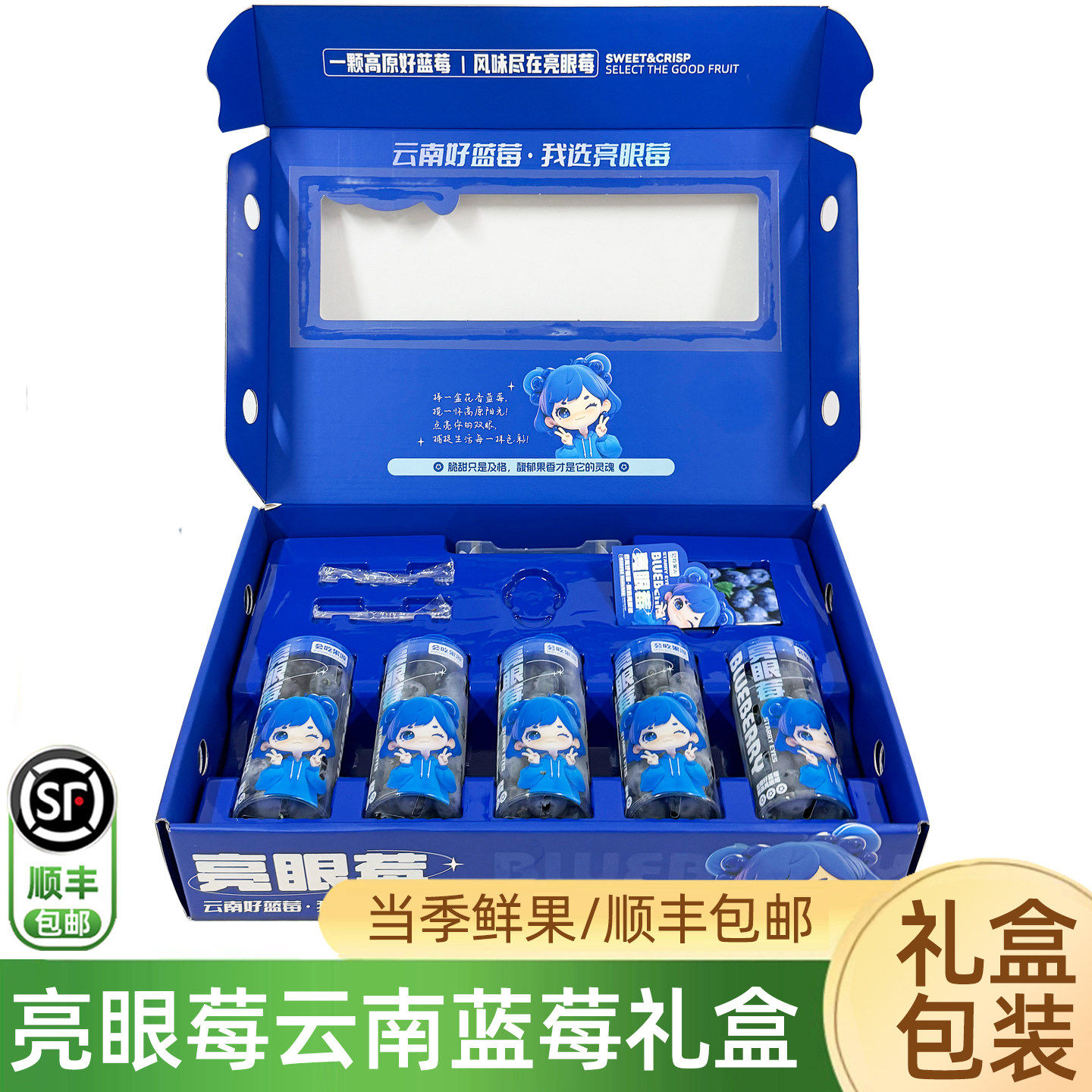 云南酸甜蓝莓鲜果礼盒 175g/罐当季限量新鲜花香大蓝莓顺丰