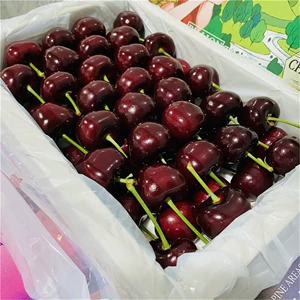 [现货大连美早大樱桃国产车厘子新鲜水果整箱5斤jjjjj当季顺丰]