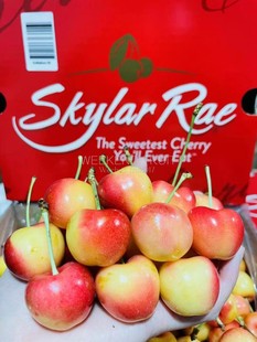 现货斯凯拉雷Skylar Rae黄车厘子一箱4斤4J大果原箱发货顺丰