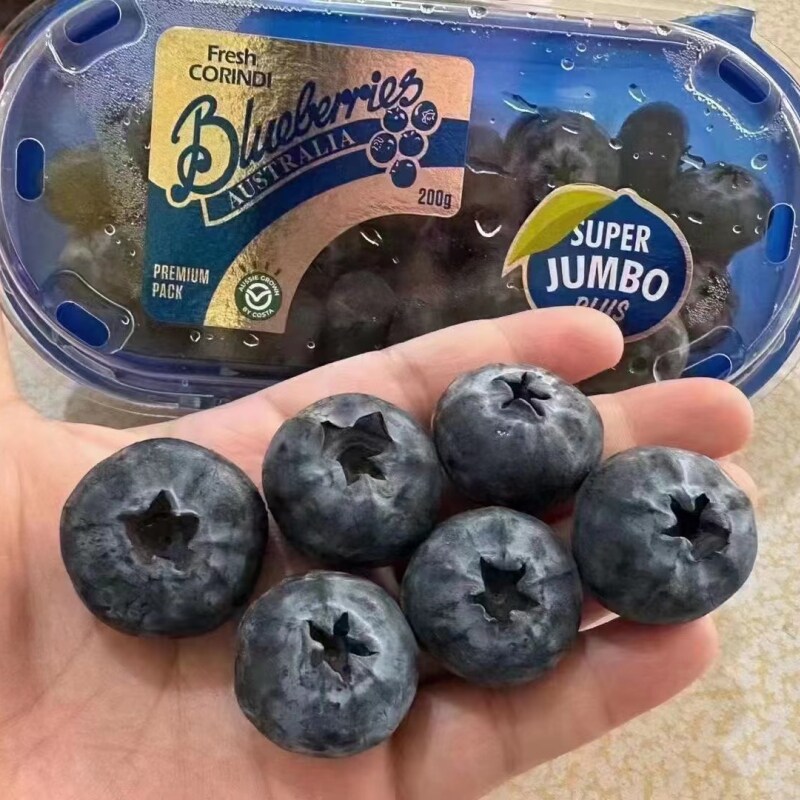 4王脆顺丰水果蓝莓当季SuperJumbo空运盒蓝莓孕妇新鲜澳洲甜限量