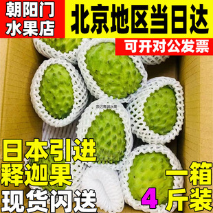 新鲜水果同城闪送顺丰 日本引进冲绳凤梨释迦牛奶释迦摩尼果当季