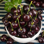 乐鲜果园美国进口车厘子当季 新鲜樱桃孕妇水果