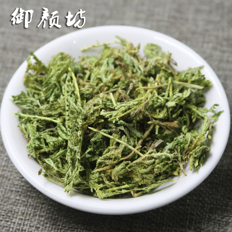 一斤包邮石上柏大叶菜地柏草地侧柏 金龙草 山扁柏 500g
