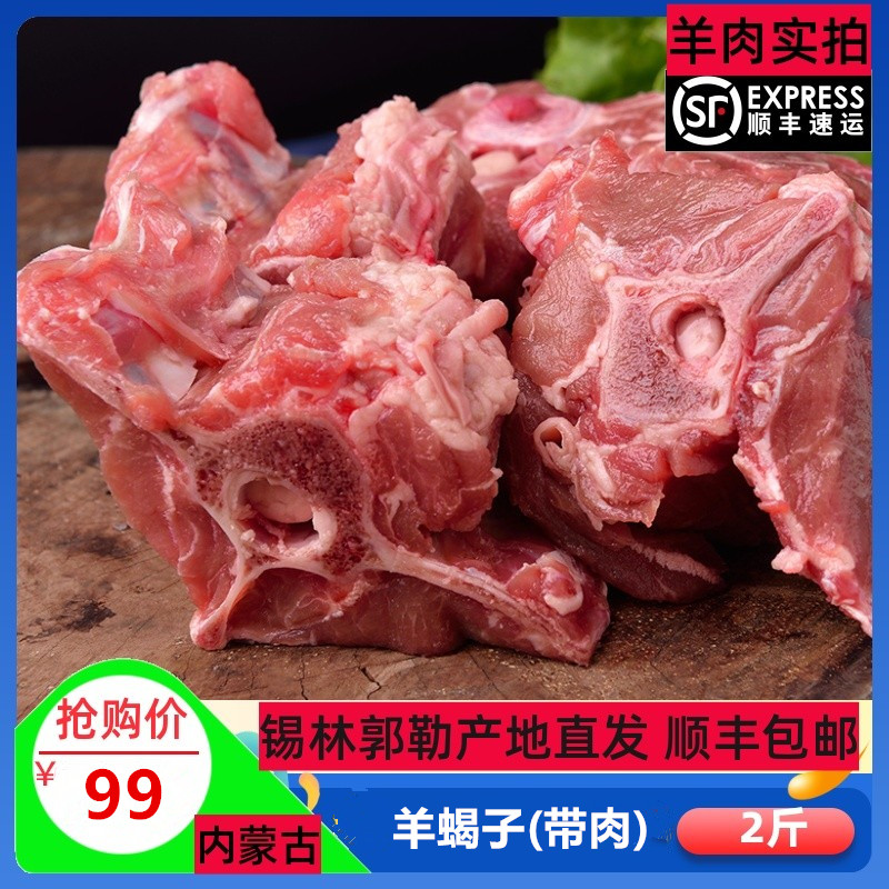 羊蝎子吉日木图内蒙古草原羊