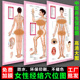 女性人体经络穴位图家用拔罐艾灸针灸中医养生馆装 饰画海报挂图