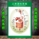 医院人体系统消化系统图不正常消化系统呼吸系统人体解剖挂图