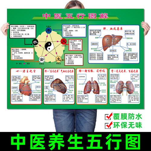 中医阴阳五行图解养生馆养生文化知识宣传图片海报挂图墙贴装饰画