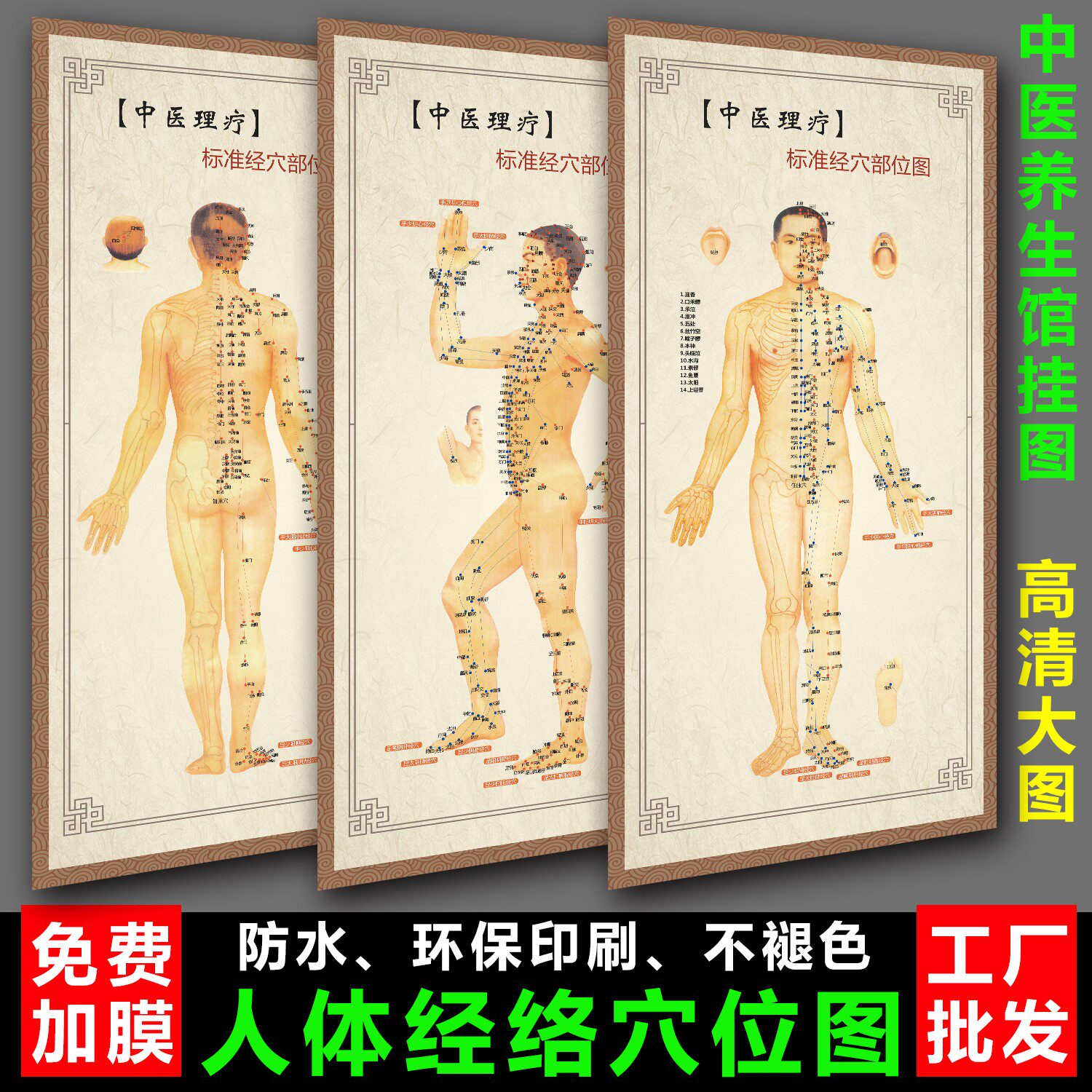 中医养生理疗人体经络穴位图美容艾灸拔罐针灸十二经络海报大挂图