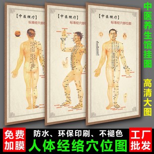 中医养生理疗人体经络穴位图美容艾灸拔罐针灸十二经络海报大挂图