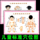 中医养生小儿推拿按摩儿童标准人体经络穴位图图解家用海报挂图