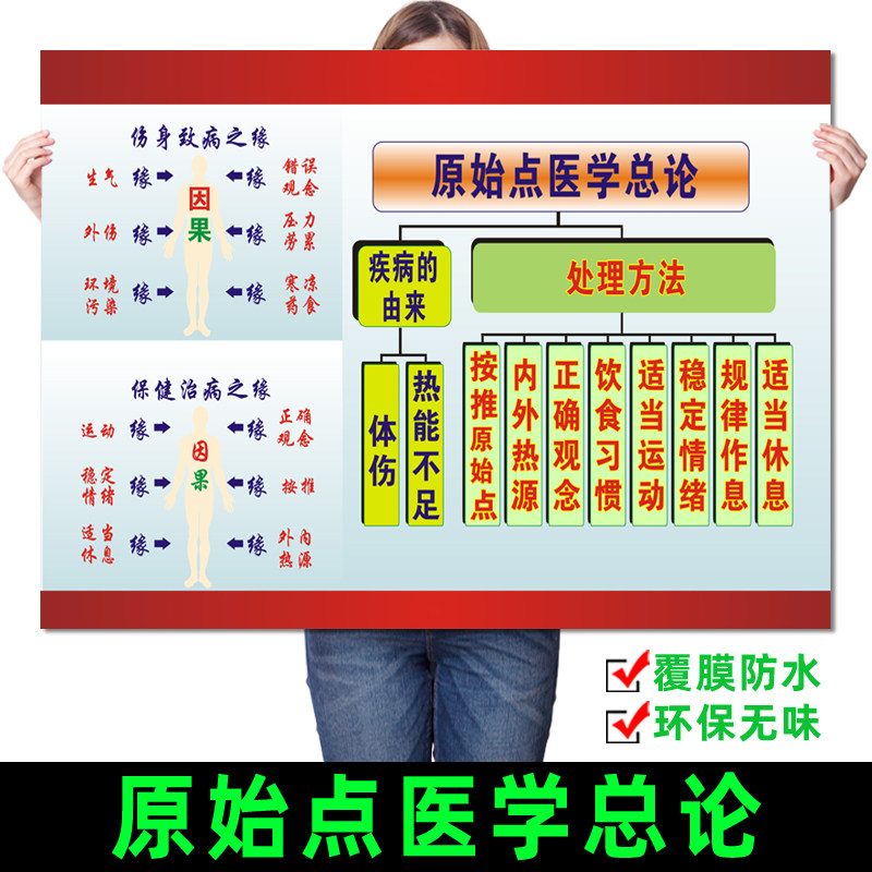 原始点医学总论挂图 原始点涵盖范围示意图 的相关病症对照海报